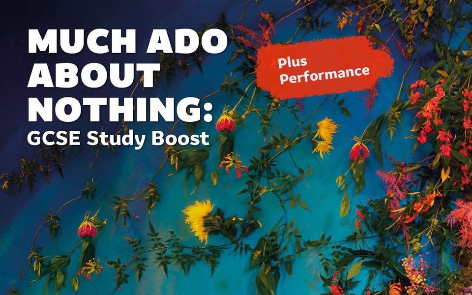 Floral banner with white text saying "Much Ado About Nothing: GCSE Study Boost Plus Performance"