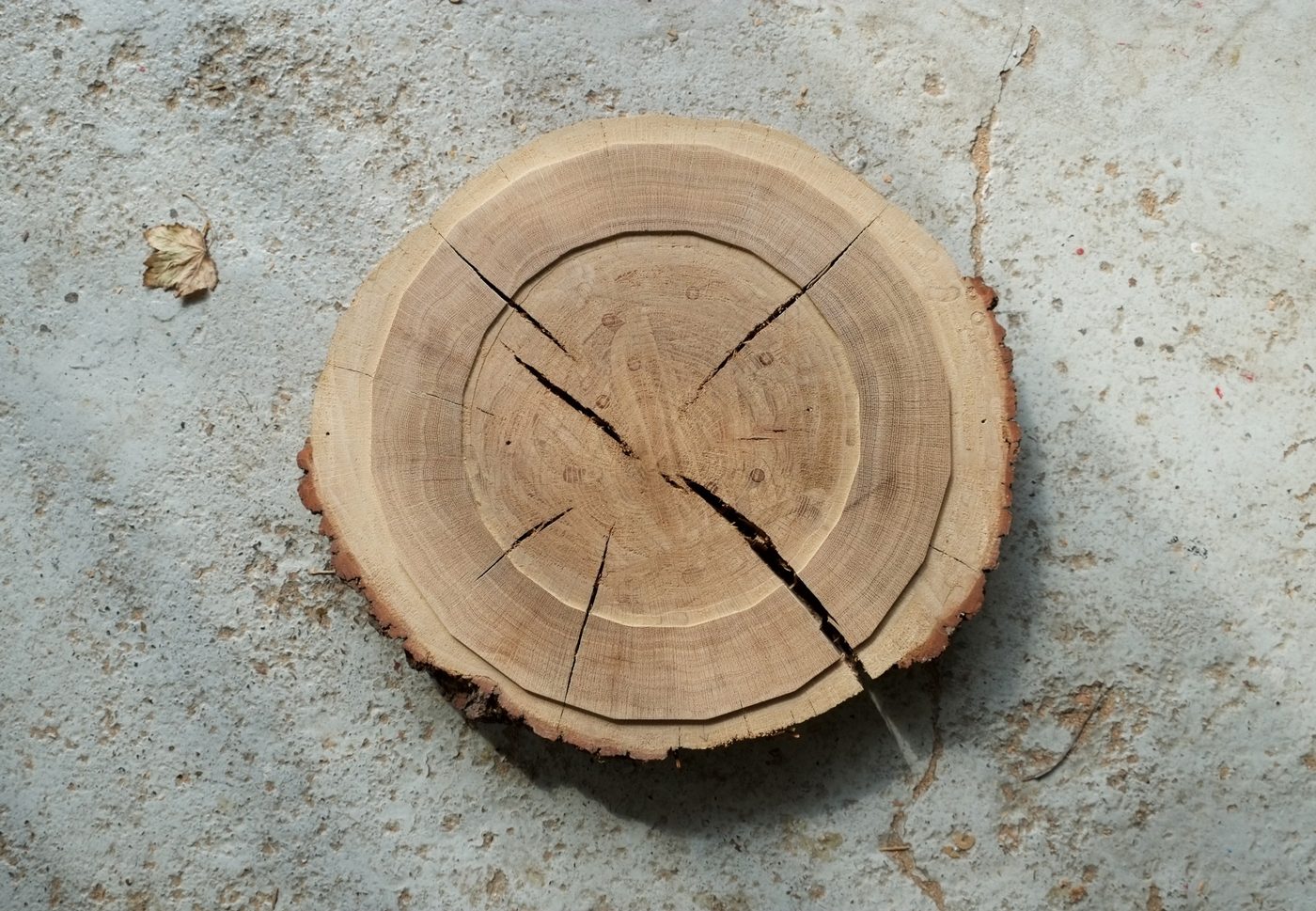 A piece of wood engraved with the Shakespeare's Globe logo